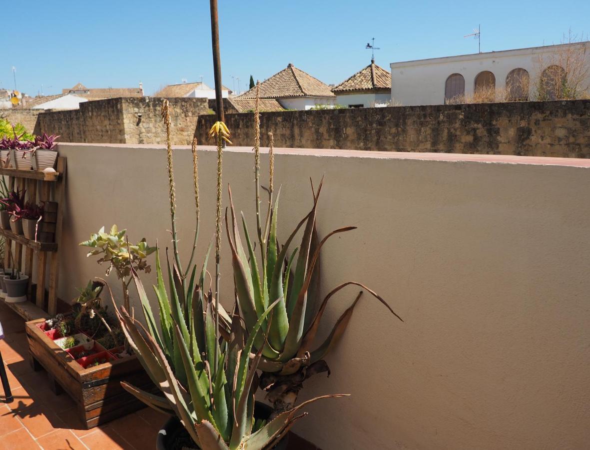 Apartamento En Juderia La Murallita Кордоба Екстериор снимка